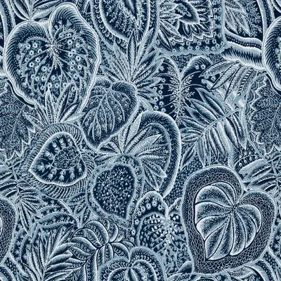 an image of the Sensibility Harbor cover by Sunbrella